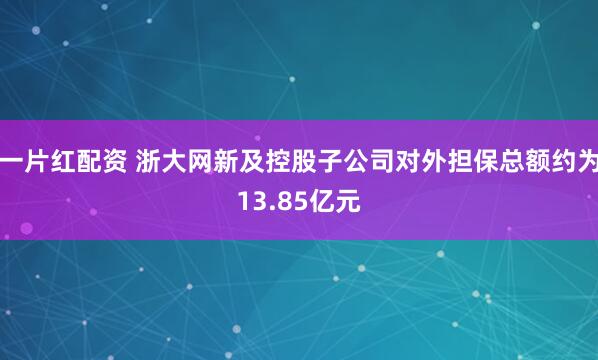 一片红配资 浙大网新及控股子公司对外担保总额约为13.85亿元