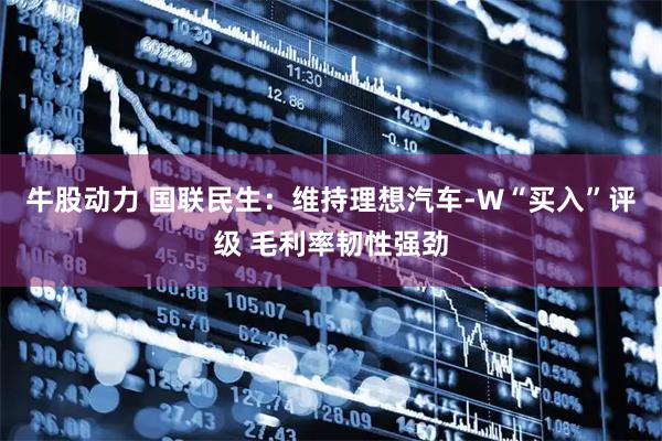 牛股动力 国联民生：维持理想汽车-W“买入”评级 毛利率韧性强劲