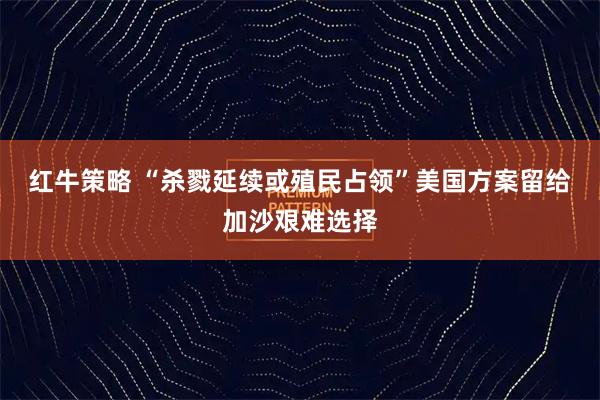红牛策略 “杀戮延续或殖民占领”美国方案留给加沙艰难选择